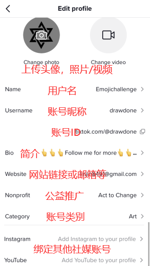 TikTok Edit profile 设置界面，包含 Change photo、Name、Username、Bio、Website、Category 及关联社媒设置