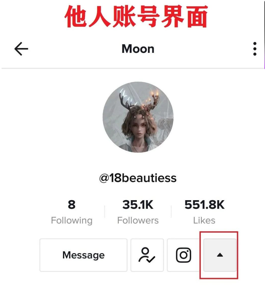 他人视角下的 TikTok 个人主页，清晰呈现头像、用户名、关注数、关注按钮、Message 私信按钮与关联社交媒体外链
